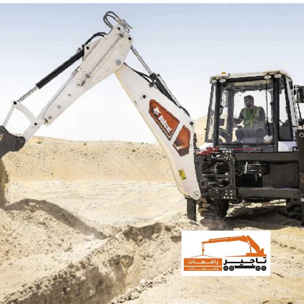 بوبكات أبيض يحفر خندق في منطقة صحراوية.